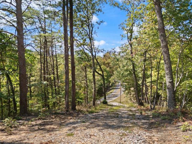 Land for sale in Powell, Kentucky