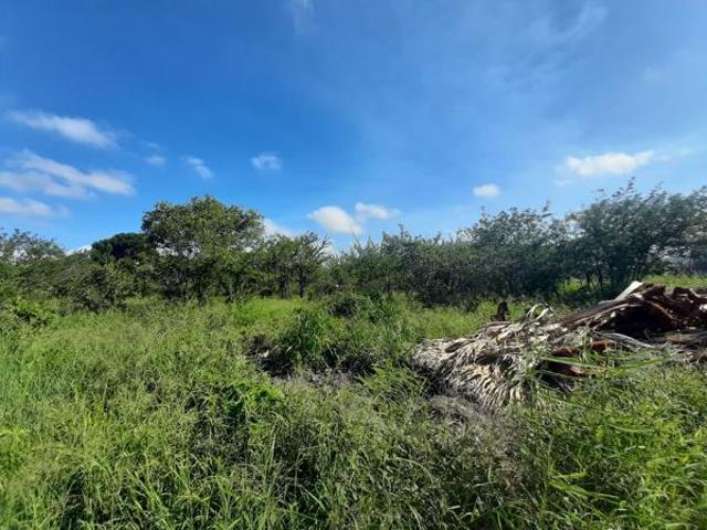 Land for sale in Ehlanzeni, Mpumalanga