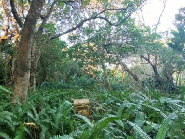 Land for sale in Ugu District Municipality, Kwazulu-natal