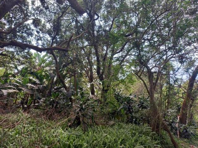 Land for sale in Ugu District Municipality, Kwazulu-natal