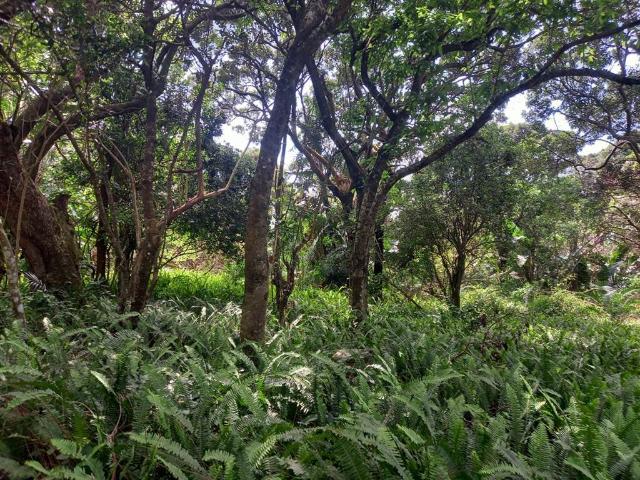 Land for sale in Ugu District Municipality, Kwazulu-natal