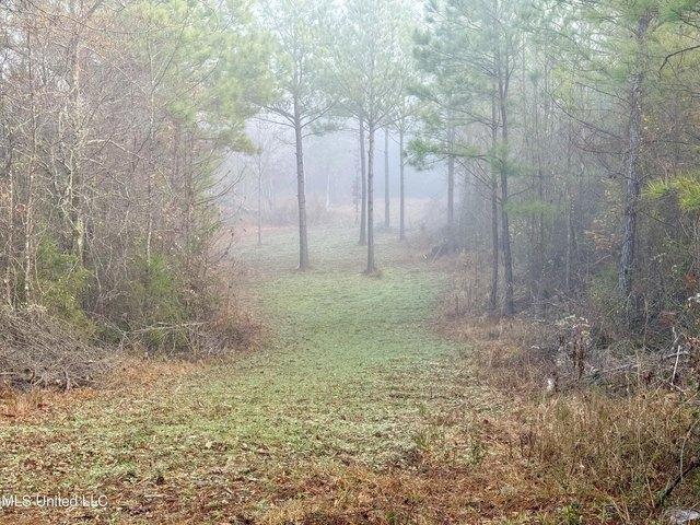 Land for sale in Pickens, Mississippi