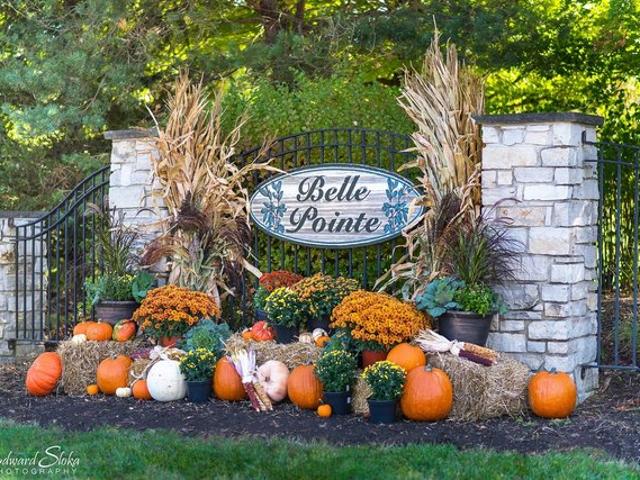 Land for sale in Mchenry, Illinois