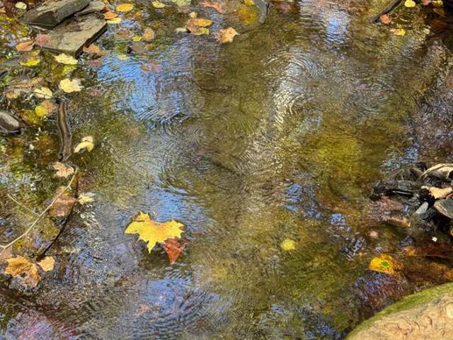 Land for sale in Petersburg, West Virginia