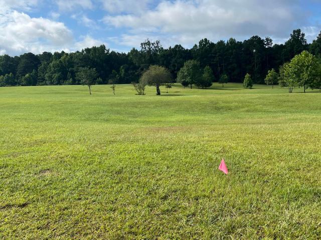 Land for sale in Luthersville, Georgia
