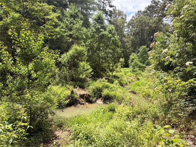 Farm for sale in Village Mills, Texas