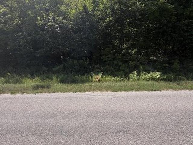 Land for sale in Gaylord, Michigan