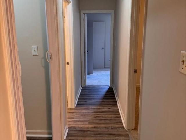Apartment for rent in Davidson, North Carolina