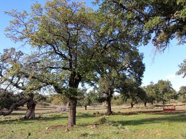 Farm for sale in Doss, Texas