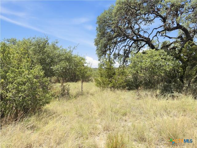 Land for sale in Blanco, Texas