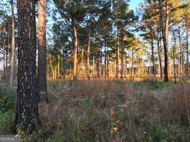 Land for sale in Meigs, Georgia