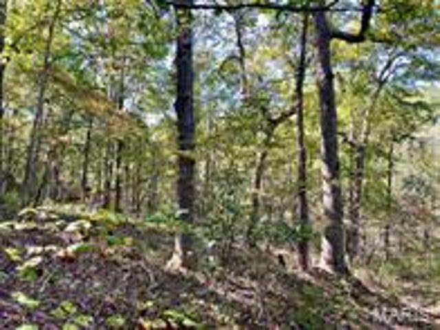 Farm for sale in Missouri
