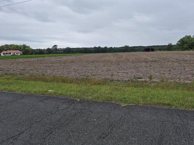 Land for sale in Vance, South Carolina