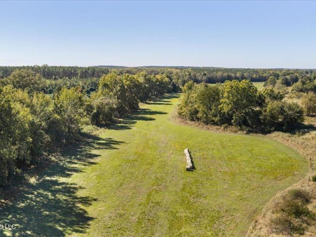 Land for sale in Holly Springs, Marshall County