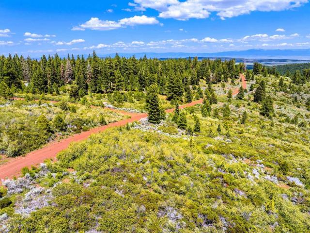 Land for sale in Modoc, California