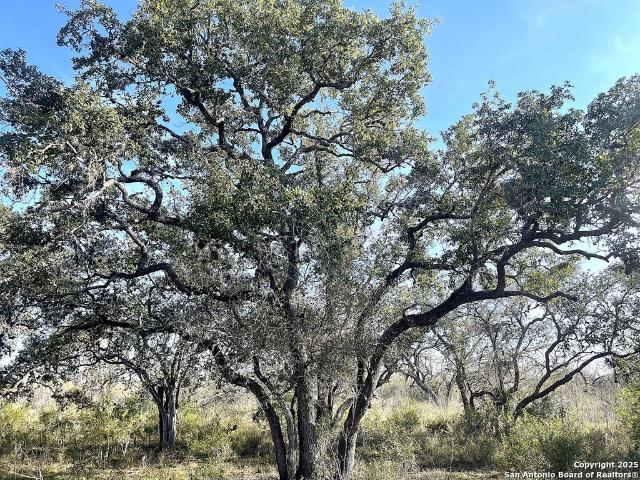 Property for sale in Bee, Texas