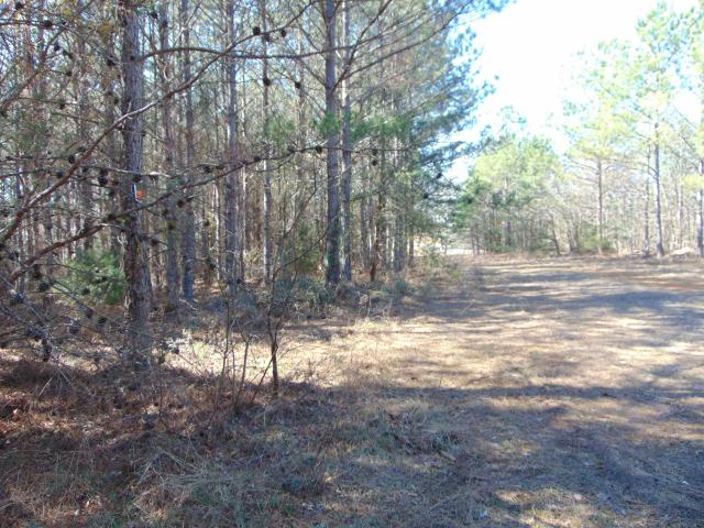 Land for sale in Double Springs, Alabama