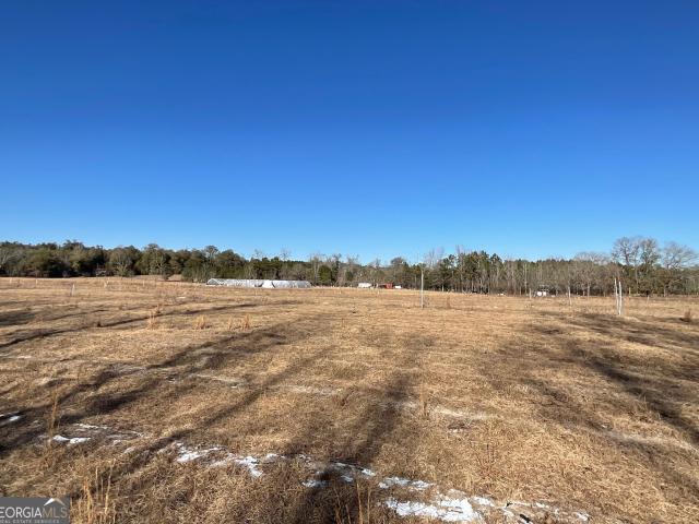Land for sale in Jeffersonville, Georgia