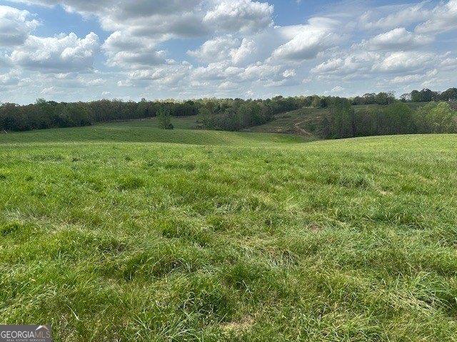 Land for sale in Eastanollee, Stephens County