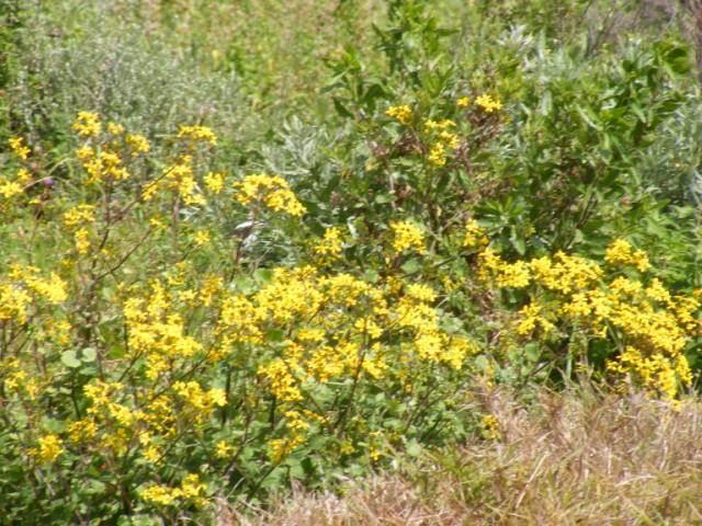 Land for sale in Bushmans River Mouth, Eastern Cape