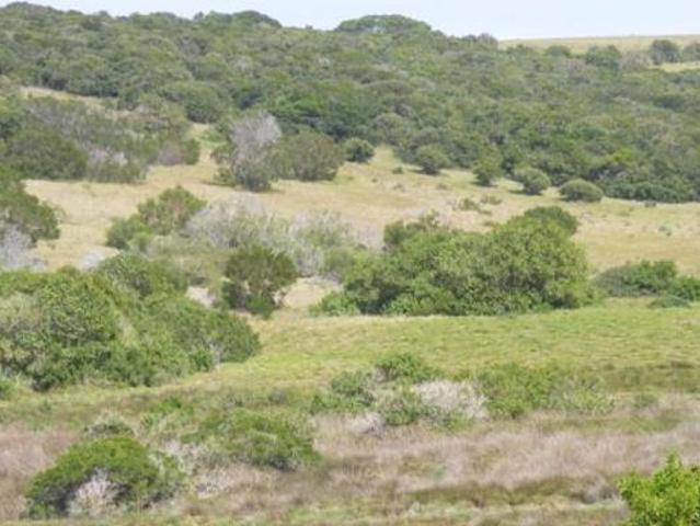 Land for sale in Bushmans River Mouth, Eastern Cape
