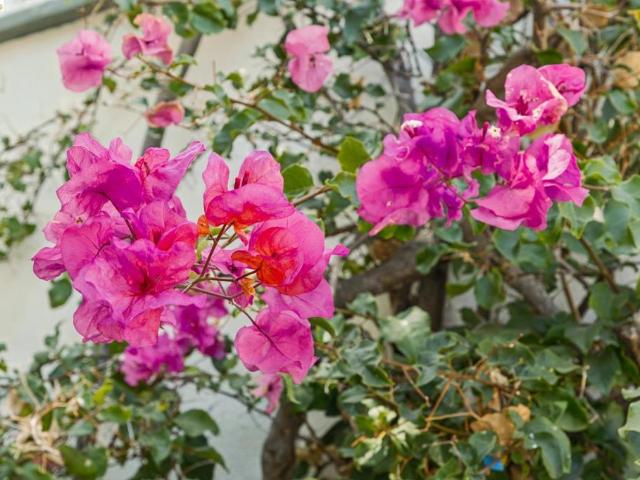 House for sale in Berkeley, California