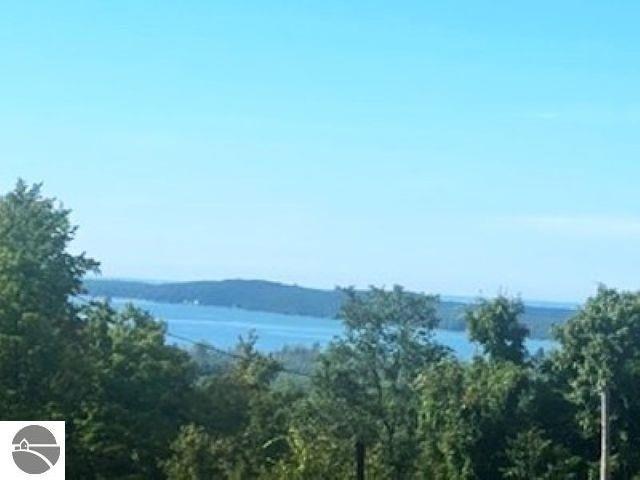 Land for sale in Beulah, Michigan