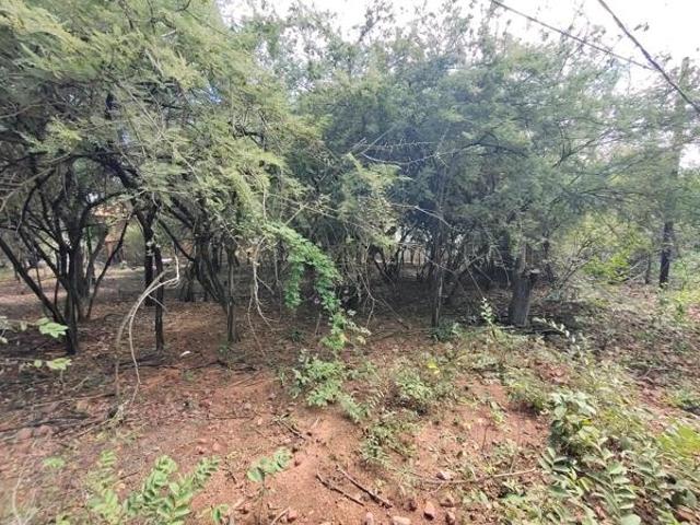 Land for sale in Limpopo