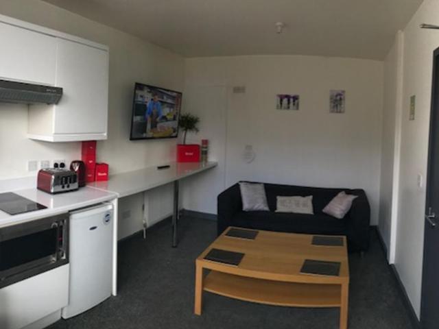 Studio for rent