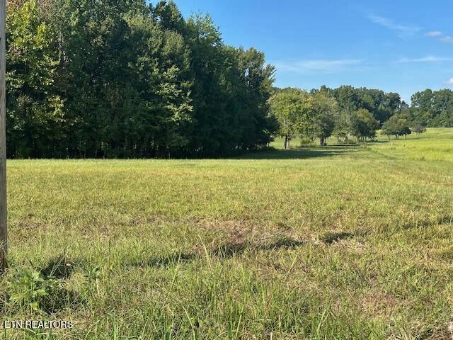 Land for sale in Newport, East Tennessee