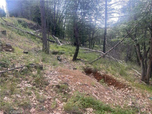 Land for sale in Lake, California
