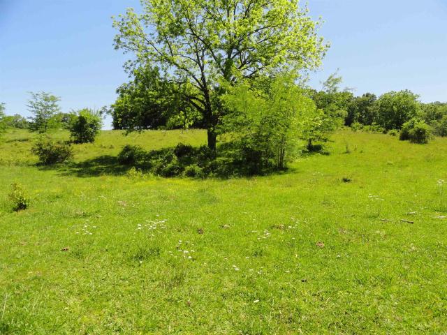 Land for sale in Ark