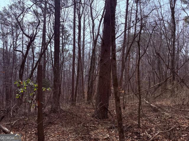 Land for sale in Haralson, Georgia