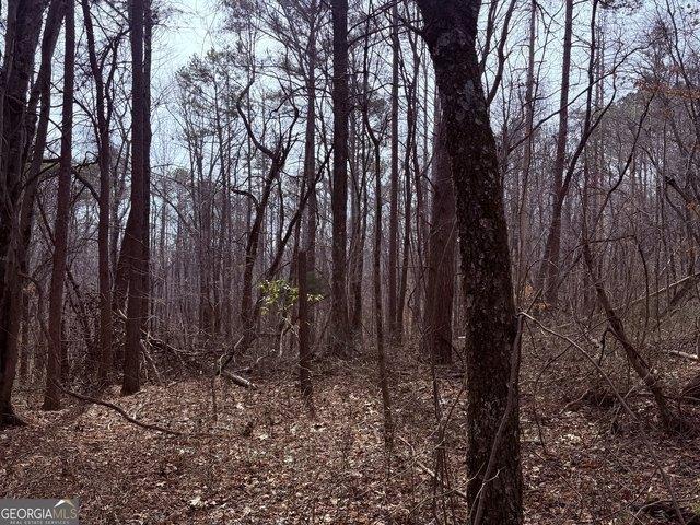 Land for sale in Haralson, Georgia