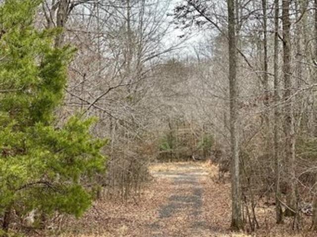 Land for sale in Nanjemoy, Maryland