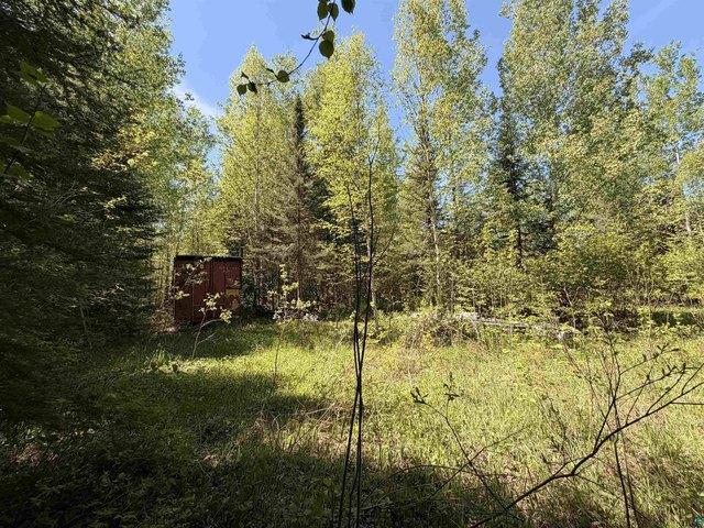 Land for sale in Grand Marais, Minnesota