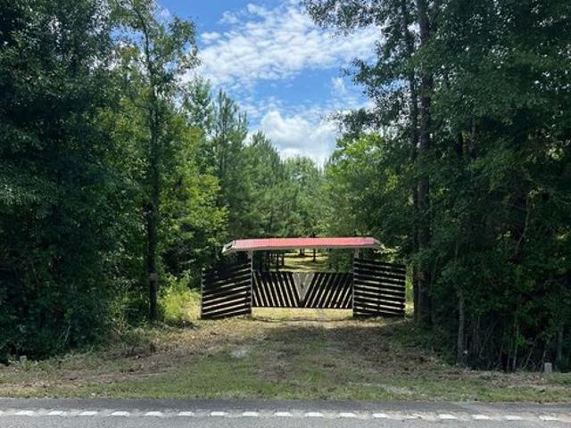 Land for sale in Poplarville, Mississippi