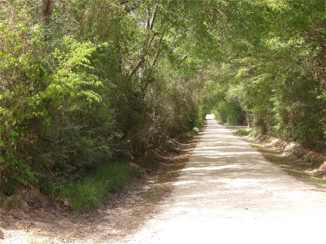 Land for sale in Lovelady, Texas