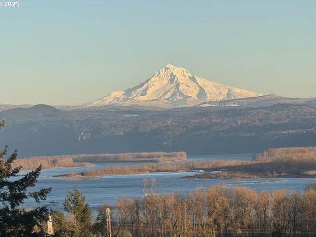 Townhouse for sale in Camas, Washington