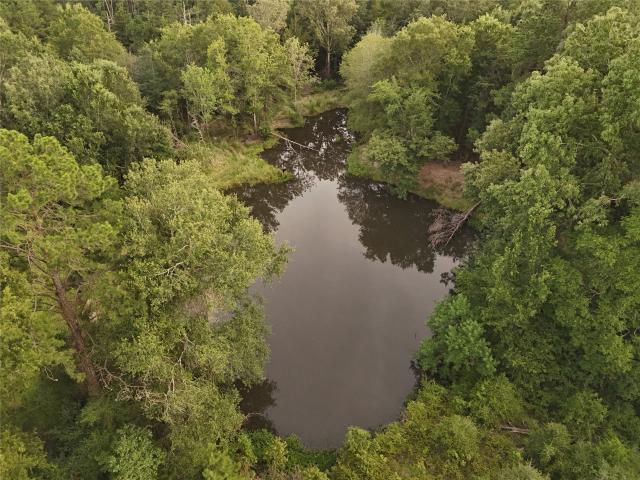 Land for sale in Lovelady, Texas