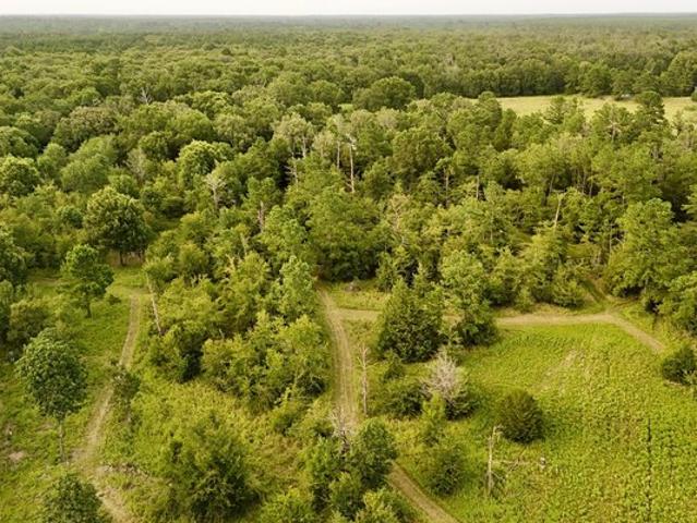 Land for sale in Lovelady, Texas