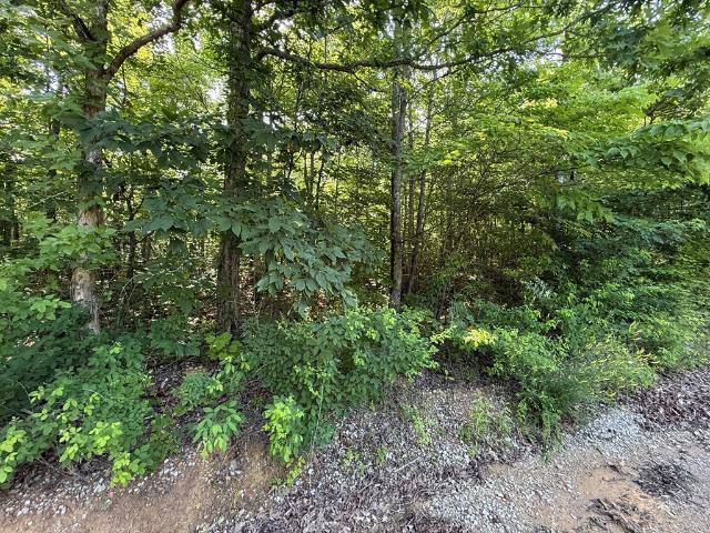 Land for sale in Tennessee