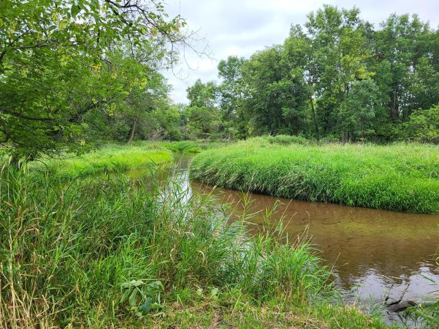 Land for sale in Verndale, Wadena County