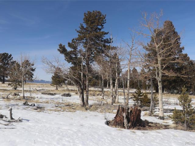 Land for sale in Hartsel, Park County