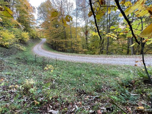 Land for sale in Mars Hill, North Carolina