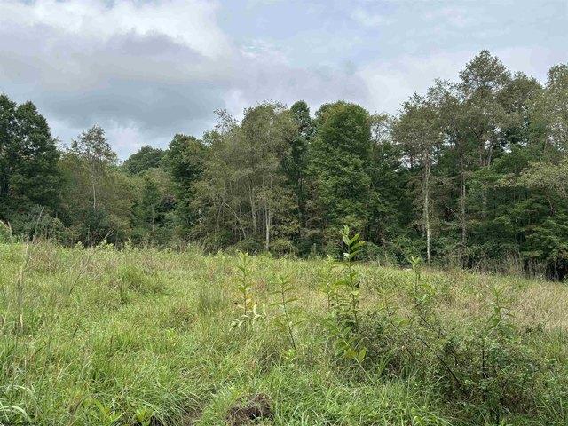 Farm for sale in Belington, West Virginia