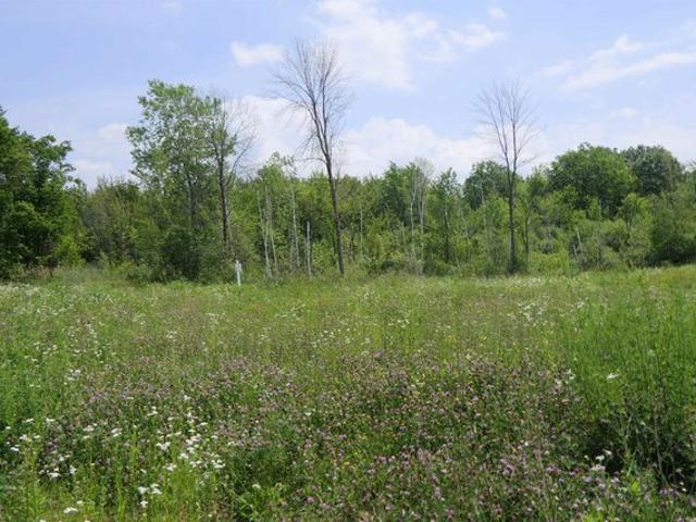 Land for sale in Swanton, Vermont