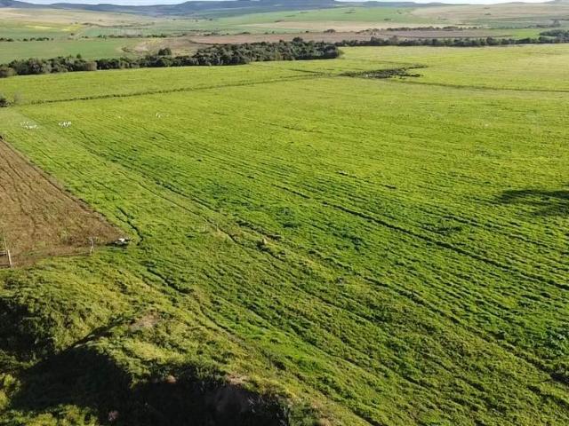 Farm for sale in Groot Brak Rivier, Western Cape