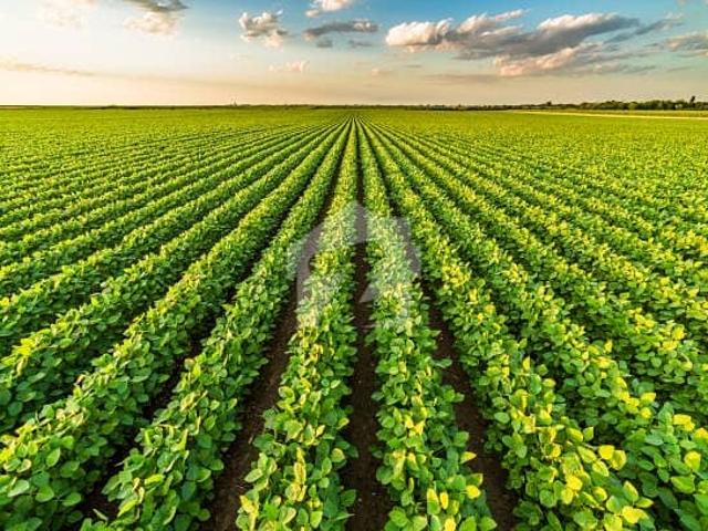Land for sale in Rawalpindi, Islamabad Capital Territory