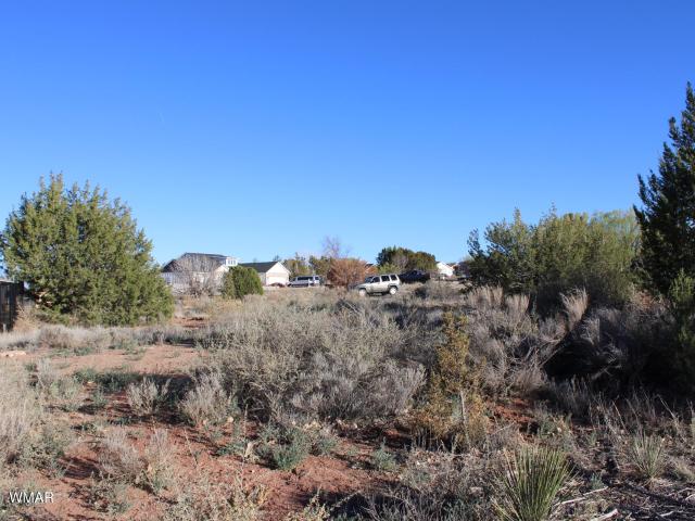 Land for sale in Navajo, Arizona